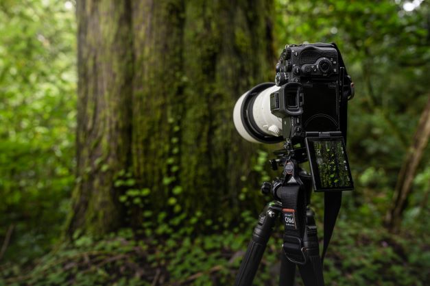 Sony A7R V (Zoom.nl testpanel)