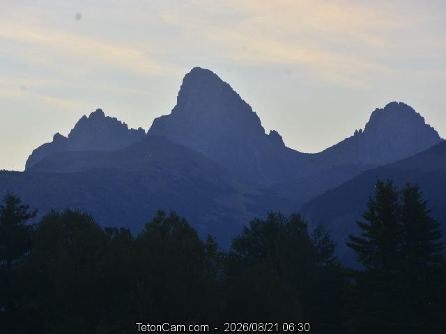 Current View