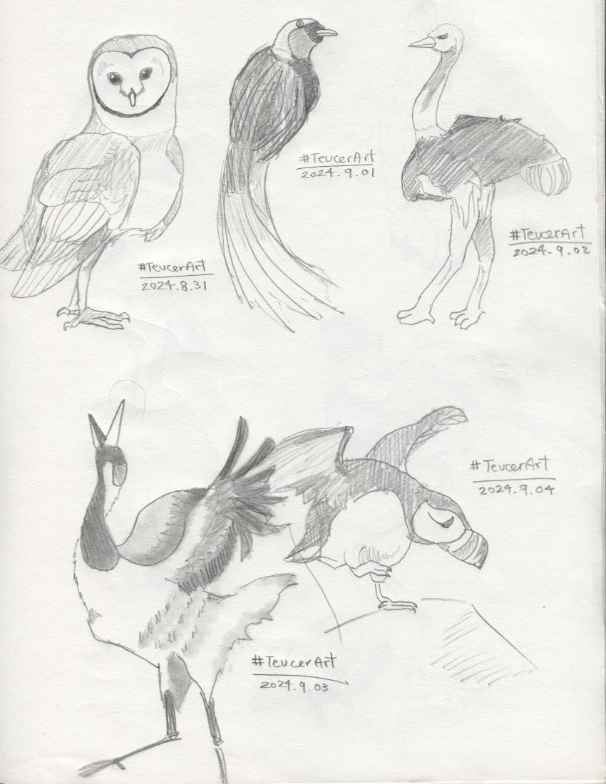 images/Birds and Dinosaurs series.06.png