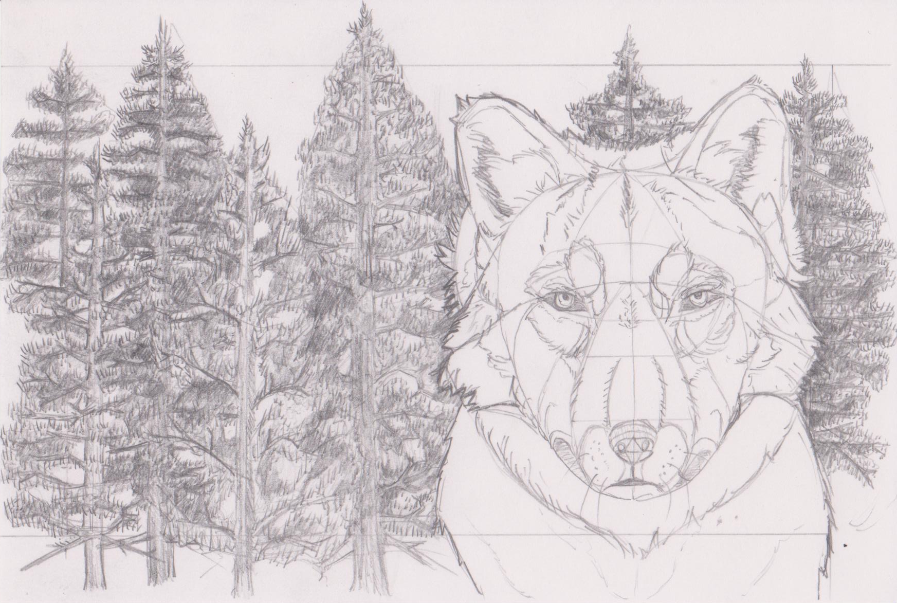 images/postcards.4.png
