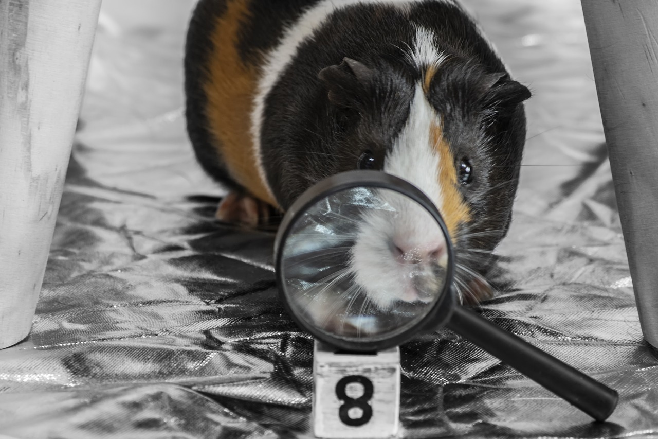 Thumbnail for article about the AI content