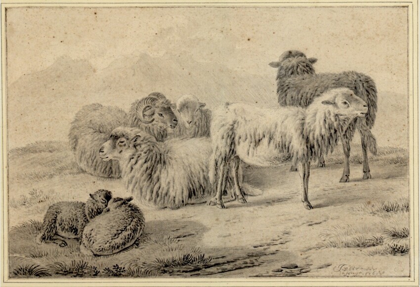 Jan van der Meer d.Ä. (Haarlem 1628 - 1691 Haarlem) | Gruppe von sieben Schafen | Displayed motifs: Sheep, Carnivore, Goat, Animal, 