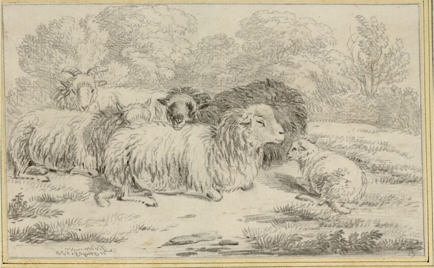 Jan van der Meer d.Ä. (Haarlem 1628 - 1691 Haarlem) | Gruppe von fünf liegenden Schafen | Displayed motifs: Sheep, Tree, Carnivore, 
