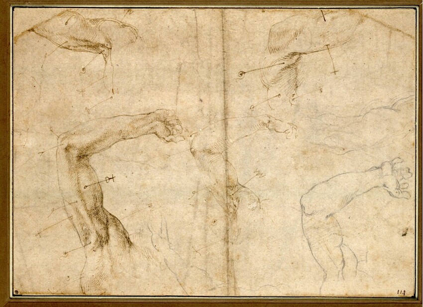 Michelangelo Buonarroti (Caprese 1475 - 1564 Rom) | Studien eines erhobenen Armes mit Schultergelenk | Displayed motifs: Putto, Angel, Person, Insect, Animal, 