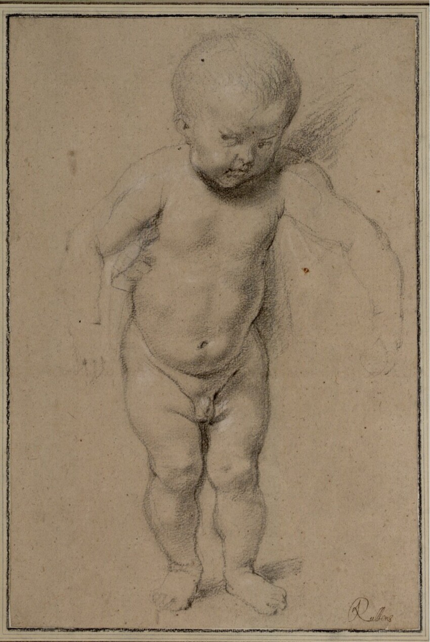 Peter Paul Rubens (Siegen 1577 - 1640 Antwerpen) | Studie des Jesusknaben | Displayed motifs: Putto, Human face, Person, Boy, Man, Human head, 