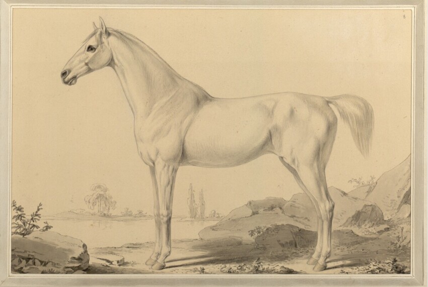 Sigmund Ferdinand von Perger (Wien 1778 - 1841 Wien) | Worthy | Displayed motifs: Horse, Angel, Putto, 