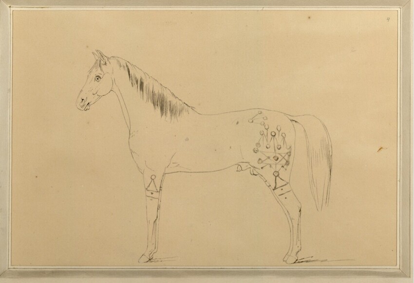 Sigmund Ferdinand von Perger (Wien 1778 - 1841 Wien) | Oly, Araberhengst | Displayed motifs: Horse, Angel, 