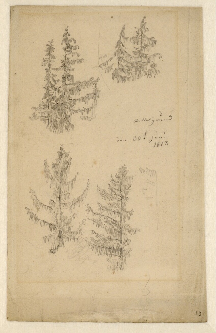 Caspar David Friedrich (Greifswald 1774 - 1840 Dresden) | Tannenstudien | Displayed motifs: Tree, Plant, 