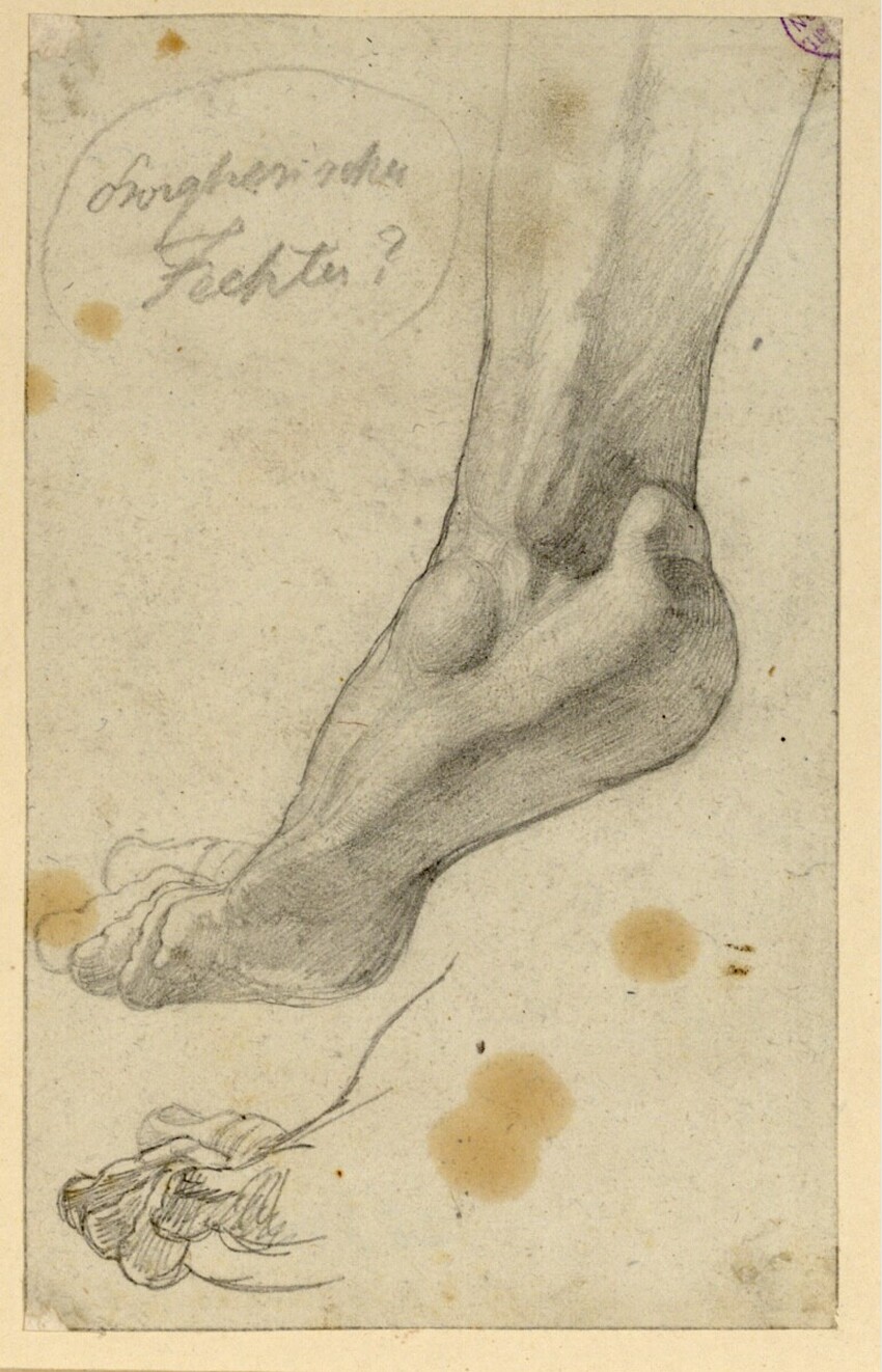 Rudolf Friedrich Wasmann (Hamburg 1805 - 1886 Meran) | Zwei Studien eines Fußes | Displayed motifs: Human hand, Human foot, 