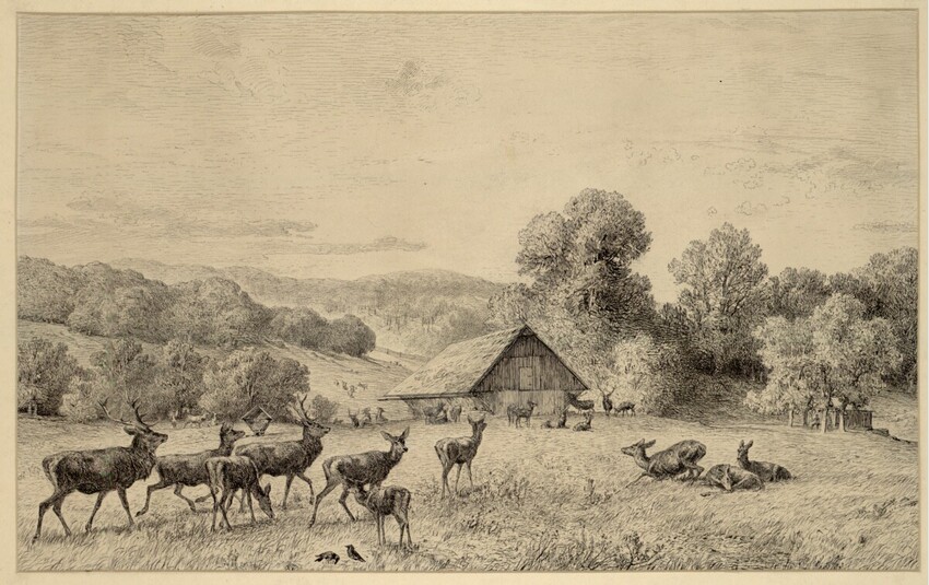 August Schäffer (Wien 1833 - 1916 Wien) | Lainzer Tiergarten, Salzecke am Hüttgrabenstadl | Displayed motifs: Deer, Tree, Animal, Giraffe, 