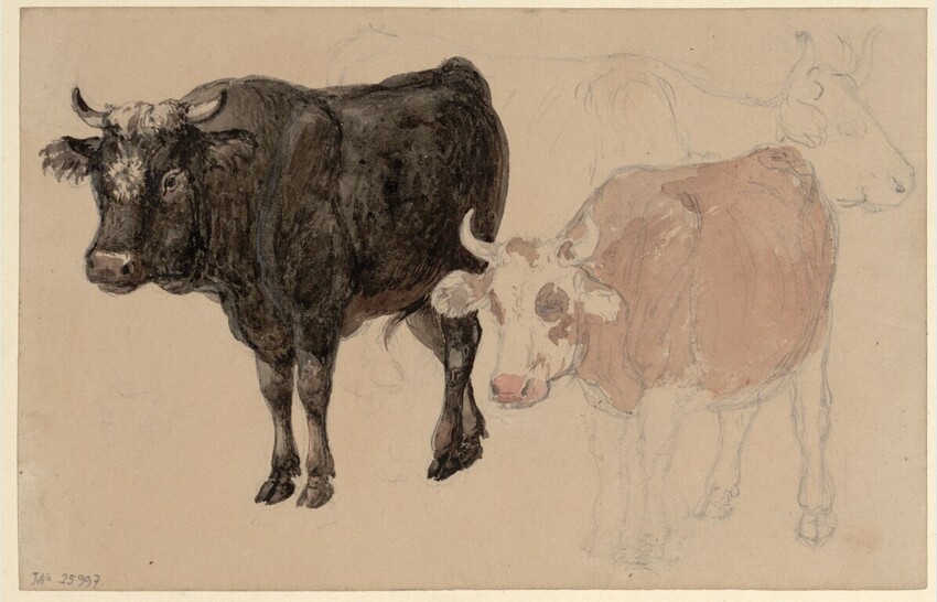 Johann Nepomuk Schödlberger (Wien 1779 - 1853 Wien) | Drei Kühe | Displayed motifs: Bull, Cattle, Animal, 