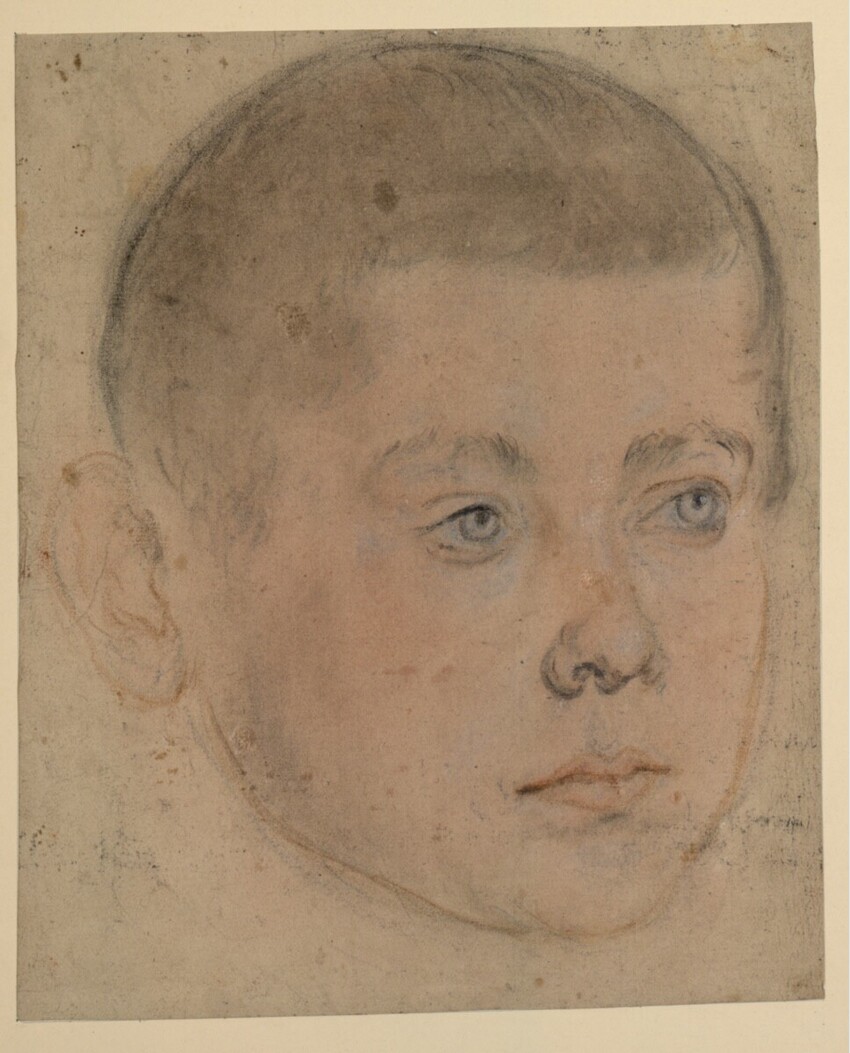 Jakob Seisenegger (1505 - 1567 Linz) | Bildnis eines Knaben | Displayed motifs: Human face, White dove, Man, Human nose, Person, Halo, 