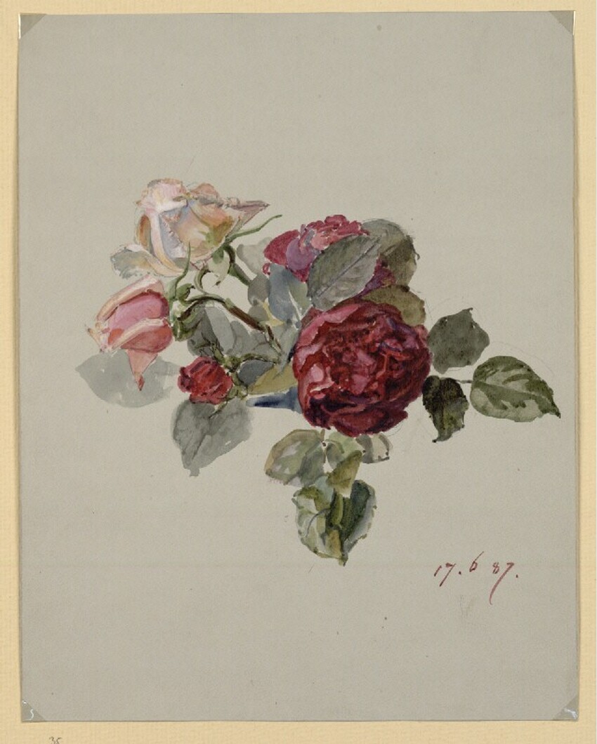 Marie Lippert-Hoerner (Wien 1860 - 1932 Wien) | Rosen und Knospen | Displayed motifs: Rose, Flower, Coat of arms, Angel, 
