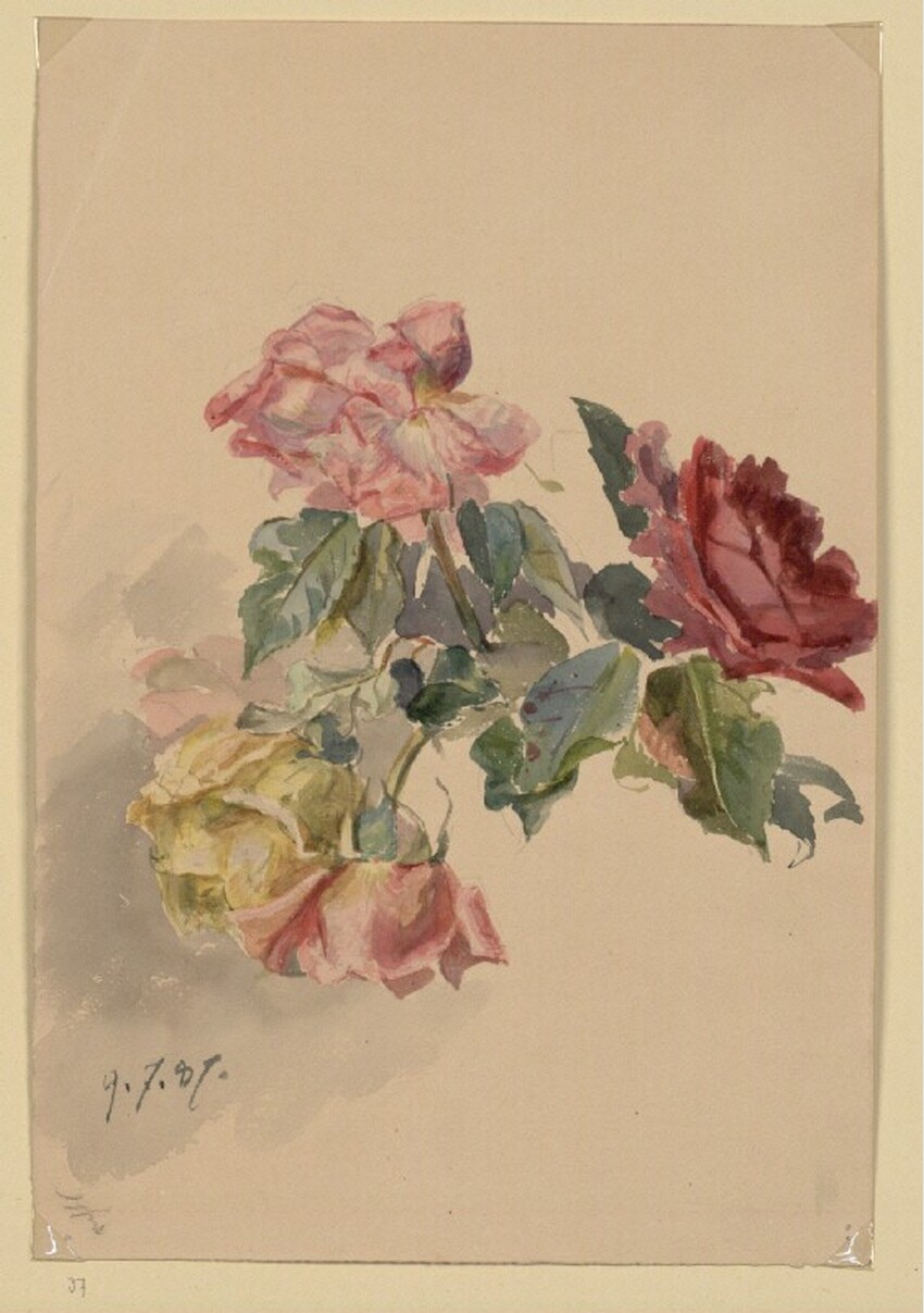 Marie Lippert-Hoerner (Wien 1860 - 1932 Wien) | Vier Rosen | Displayed motifs: Rose, Flower, Angel, 