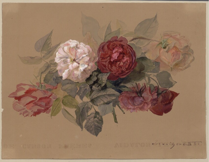 Marie Lippert-Hoerner (Wien 1860 - 1932 Wien) | Sechs Rosen als Strauß | Displayed motifs: Rose, White dove, Flower, 