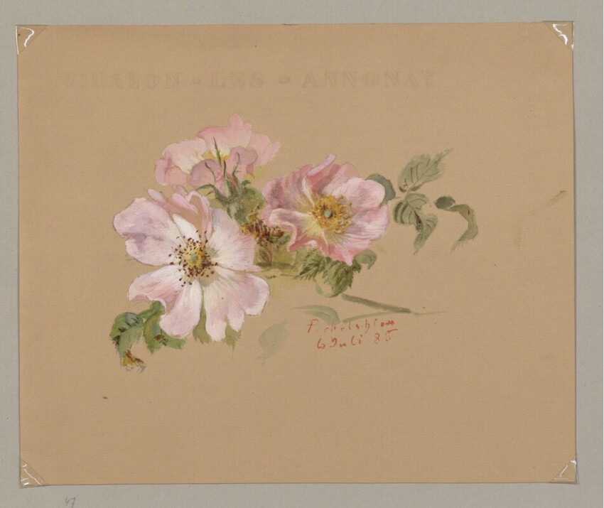 Marie Lippert-Hoerner (Wien 1860 - 1932 Wien) | Drei wilde Rosen | Displayed motifs: Flower, 