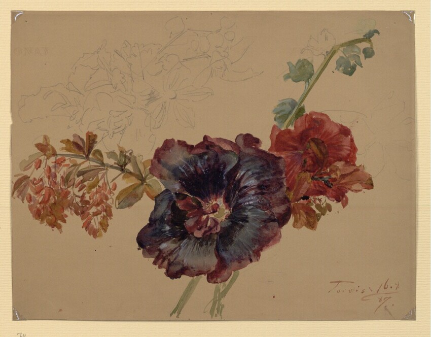 Marie Lippert-Hoerner (Wien 1860 - 1932 Wien) | Malven | Displayed motifs: Flower, Angel, Halo, Coat of arms, 