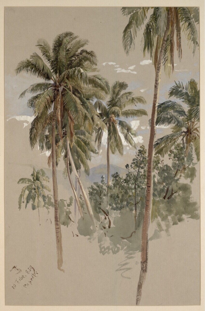 Josef Selleny (Wien 1824 - 1875 Inzersdorf) | Kokospalmen auf Tahiti | Displayed motifs: Palm tree, 