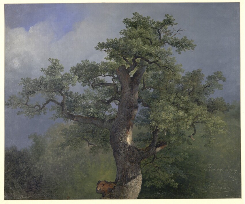 Remigius Adrianus van Haanen (Oosterhout 1812 - 1894 Aussee) | Alte Eiche | Displayed motifs: Tree, 