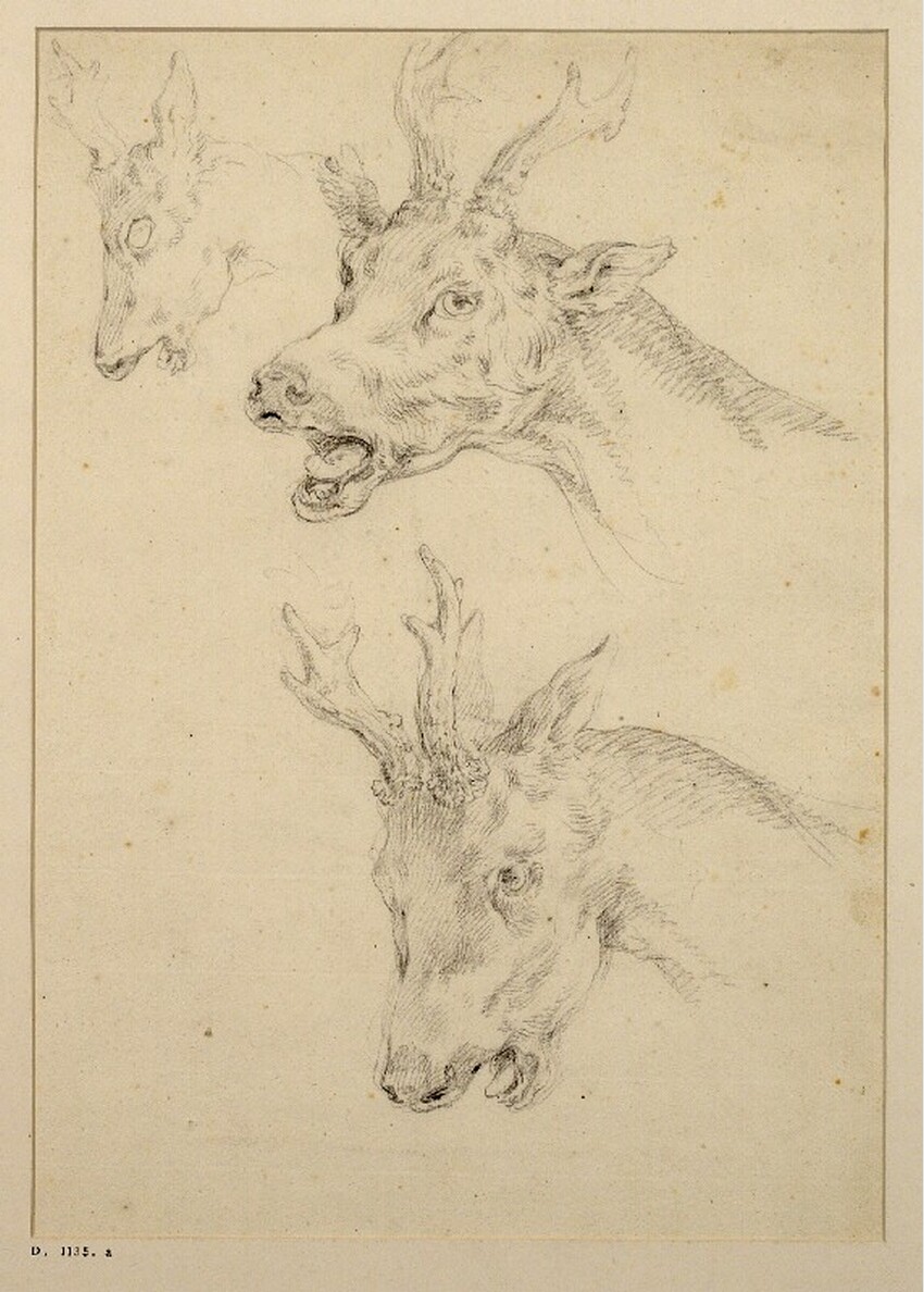 Johann Elias Ridinger (Ulm 1698 - 1767 Augsburg) | Studienblatt: Drei Rehköpfe | Displayed motifs: Animal, Putto, Angel, Deer, 