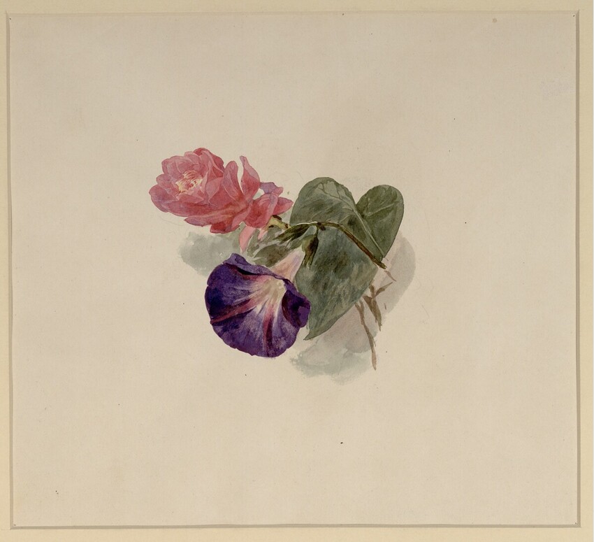 Franz Alt (Wien 1821 - 1914 Wien) | Rote Azalee | Displayed motifs: Flower, Rose, Insect, 