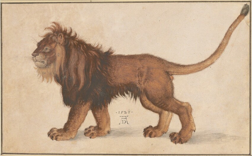 Albrecht Dürer (Nürnberg 1471 - 1528 Nürnberg) | Löwe | Displayed motifs: Carnivore, Dog, Lion, White dove, Putto, Cat, 