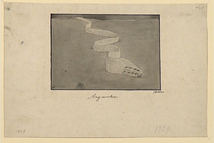 Alfred Kubin (Litoměřice (Leitmeritz) 1877 - 1959 Zwickledt) | Argwohn | Displayed motifs: Footwear, Clothing, 