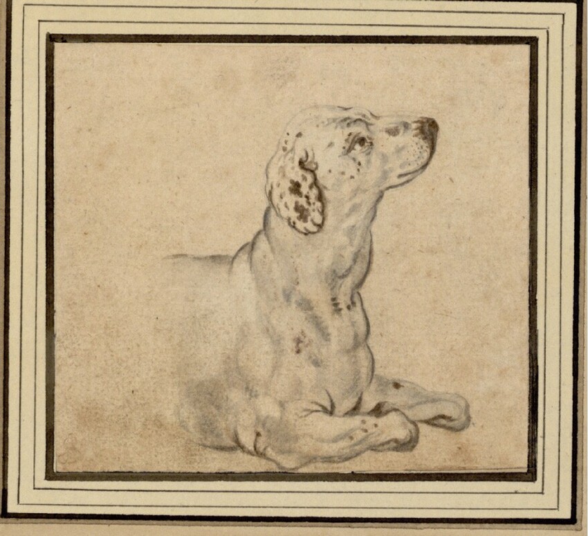 Valentin Wagner (Dresden um 1610 - 1655 Dresden) | Reiseskizzenbuch: Aufmerkender Hund | Displayed motifs: Dog, Wound, Putto, 
