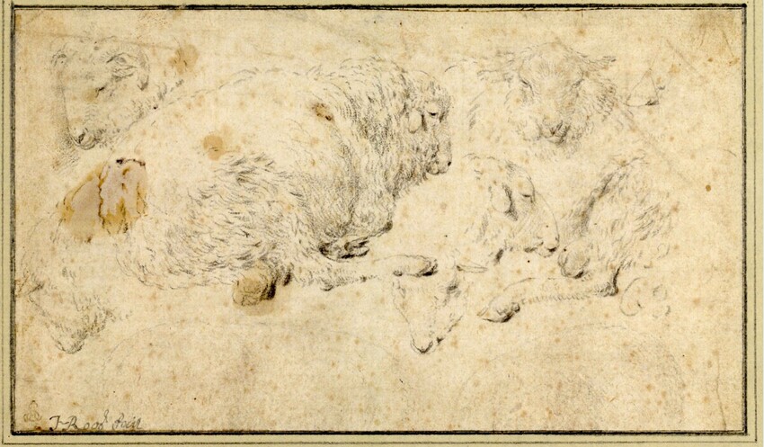 Johann Heinrich Roos (Otterberg (Kaiserslautern) 1631 - 1685 Frankfurt am Main) | Schafe | Displayed motifs: Sheep, Animal, Putto, 