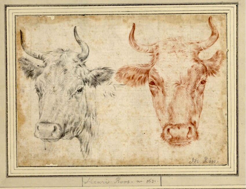 Johann Heinrich Roos (Otterberg (Kaiserslautern) 1631 - 1685 Frankfurt am Main) | Zwei Rinderköpfe | Displayed motifs: Cattle, Bull, White dove, 