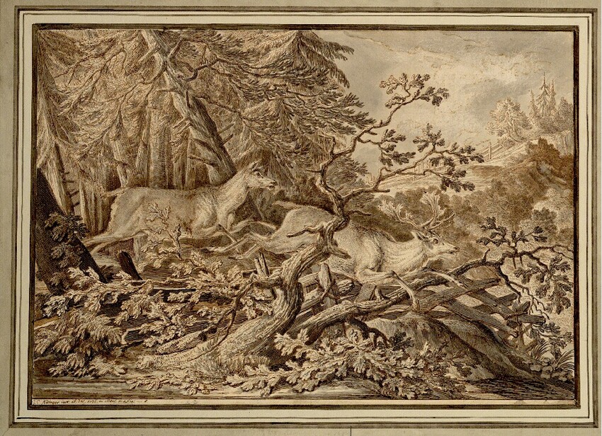 Johann Elias Ridinger (Ulm 1698 - 1767 Augsburg) | Weisser Dam Hirsch und die Hindin | Displayed motifs: Tree, Lion, Animal, Mammal, 