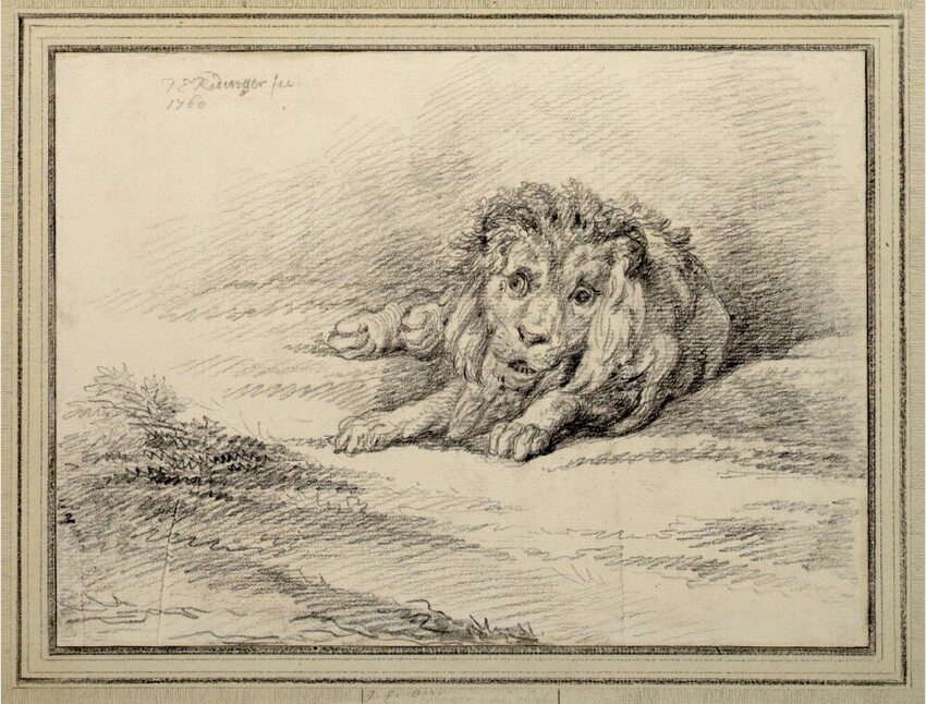 Johann Elias Ridinger (Ulm 1698 - 1767 Augsburg) | Liegender Löwe, von vorne | Displayed motifs: Lion, 