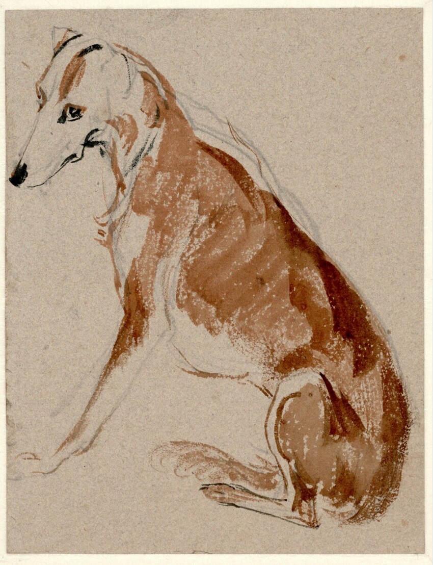 Johann Mathias Ranftl (Wien 1805 - 1854 Wien) | Sitzender Hund | Displayed motifs: Dog, Animal, 