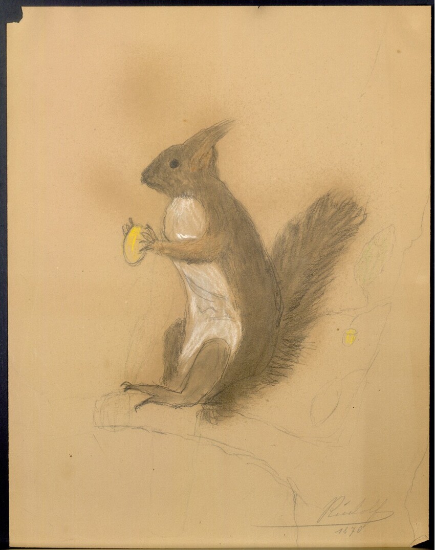 Kronprinz Rudolf Habsburg-Lothringen (Schloss Laxenburg 1858 - 1889 Schloss Mayerling) | Eichhörnchen | Displayed motifs: Squirrel, 