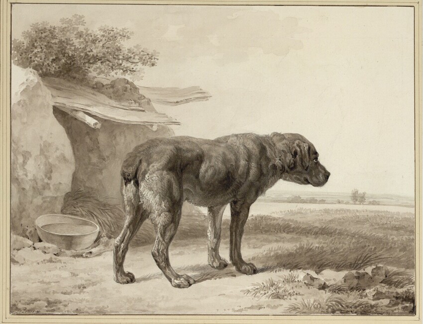 Johann Adam von Bartsch (Wien 1757 - 1821 Wien) | Hund vor seiner Behausung | Displayed motifs: Dog, Carnivore, Tree, Lion, 