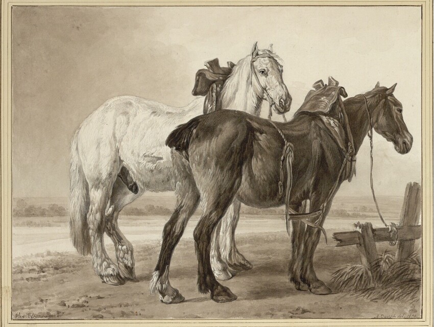 Johann Adam von Bartsch (Wien 1757 - 1821 Wien) | Deux chevaux de charue détéles | Displayed motifs: Horse, 