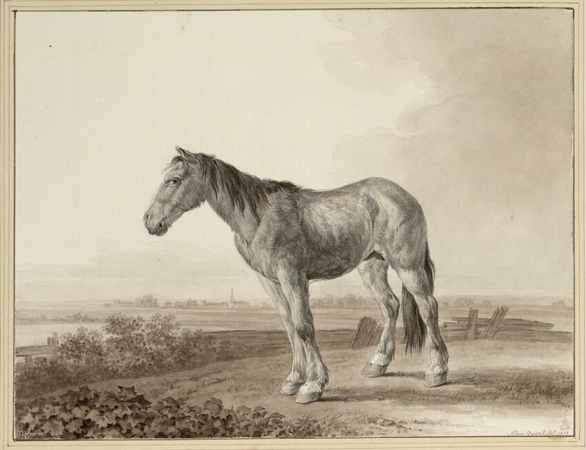 Johann Adam von Bartsch (Wien 1757 - 1821 Wien) | Ein Fohlen | Displayed motifs: Horse, Angel, Latin cross, 