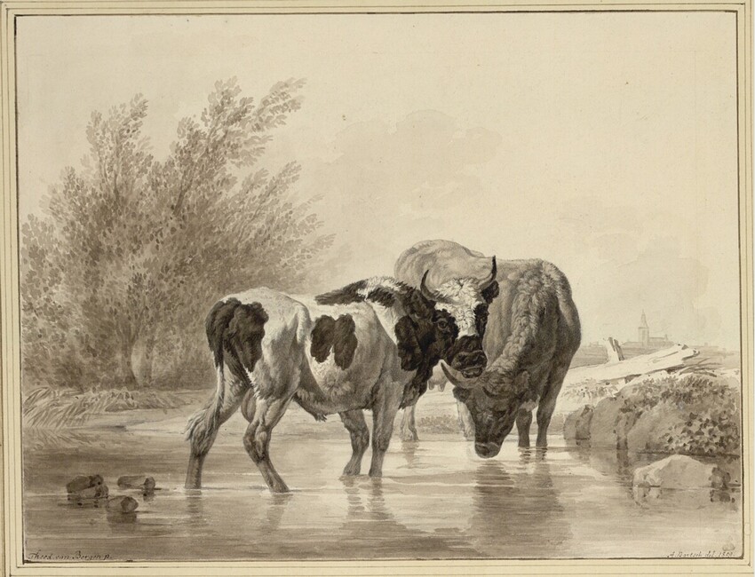 Johann Adam von Bartsch (Wien 1757 - 1821 Wien) | Un Taureau et une Vache dans l'eau | Displayed motifs: Bull, Cattle, Tree, Horse, Animal, 