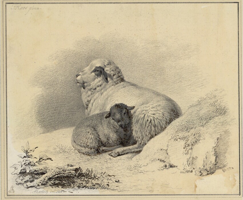 Johann Adam von Bartsch (Wien 1757 - 1821 Wien) | Une Brebis couchée près de son Agneau | Displayed motifs: Dog, Sheep, Carnivore, Polar bear, 