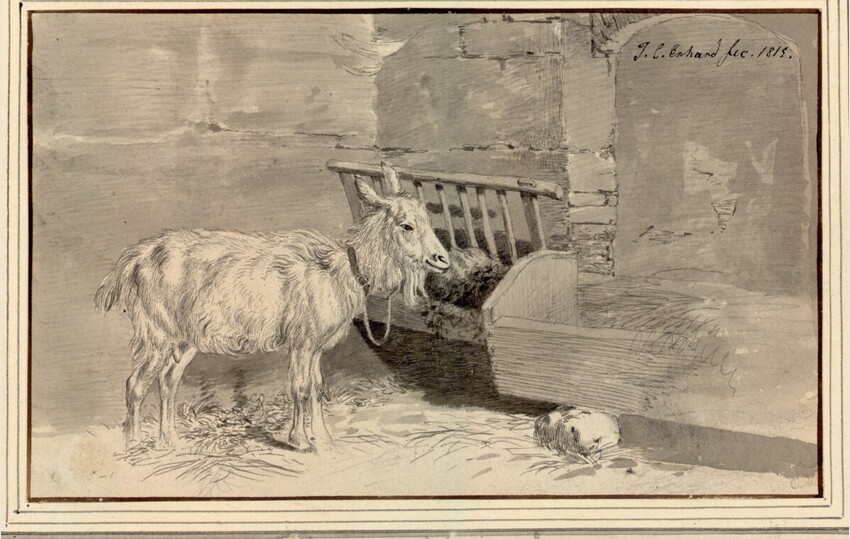 Johann Christoph Erhard (Nürnberg 1795 - 1822 Rom) | Ziege im Stall | Displayed motifs: Goat, Animal, White dove, 