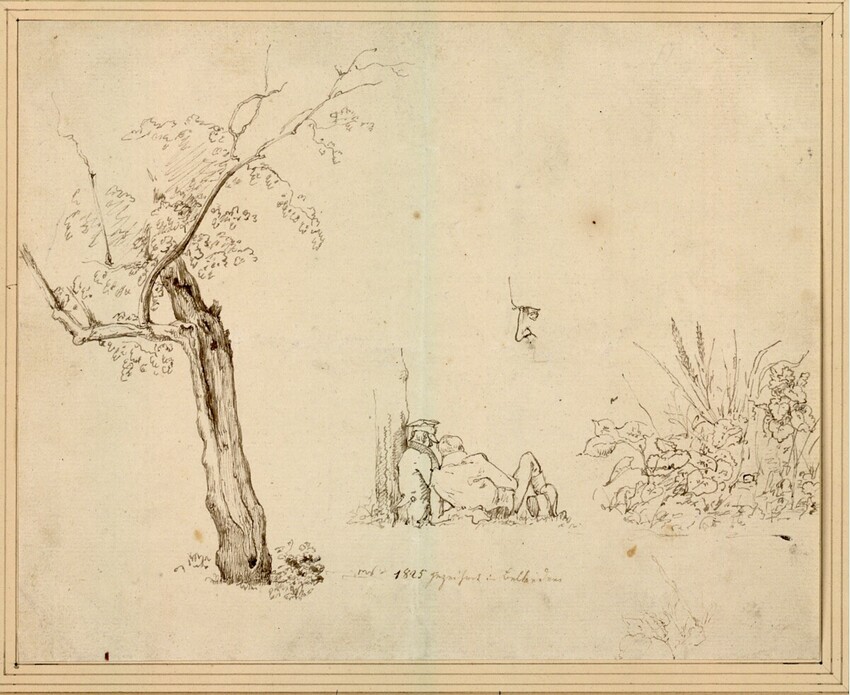 Moritz von Schwind (Wien 1804 - 1871 Niederpöcking/München) | Studienblatt: verkrüppelter Weidenbaum; zwei Freunde im Gras an einem Baum lagernd; männliches Profil; Wiesenstück | Displayed motifs: Tree, Plant, Clothing, Mammal, Person, 