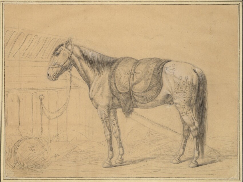 Carl Adolph Heinrich Heß (Dresden 1769 - 1849 Wilhelmsdorf bei Wien) | Das Pferd, das Napoleon aus Konstantinopel als Geschenk übersandt wurde, nach links | Displayed motifs: Horse, Angel, 