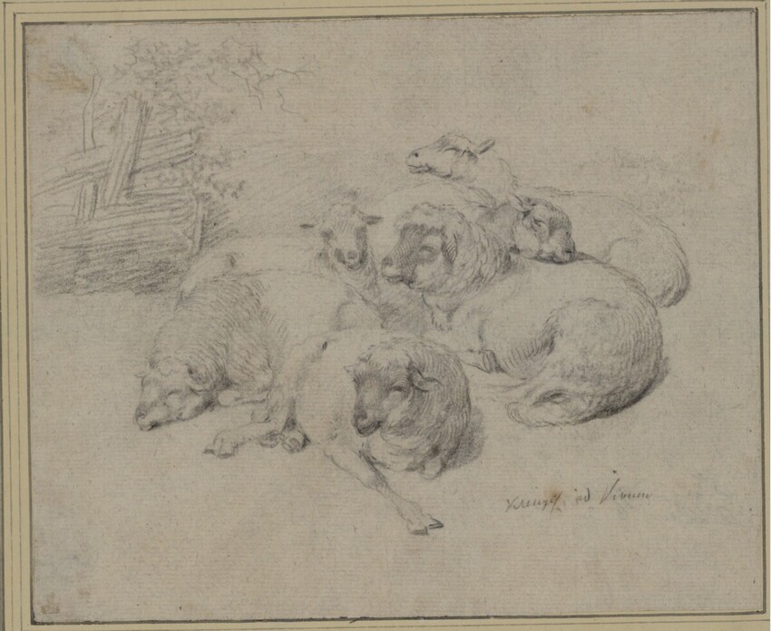 Johann Christian Klengel (Kesselsdorf bei Dresden 1751 - 1824 Dresden) | Studienblatt mit sechs liegenden Schafen | Displayed motifs: Carnivore, Lion, Putto, Animal, 