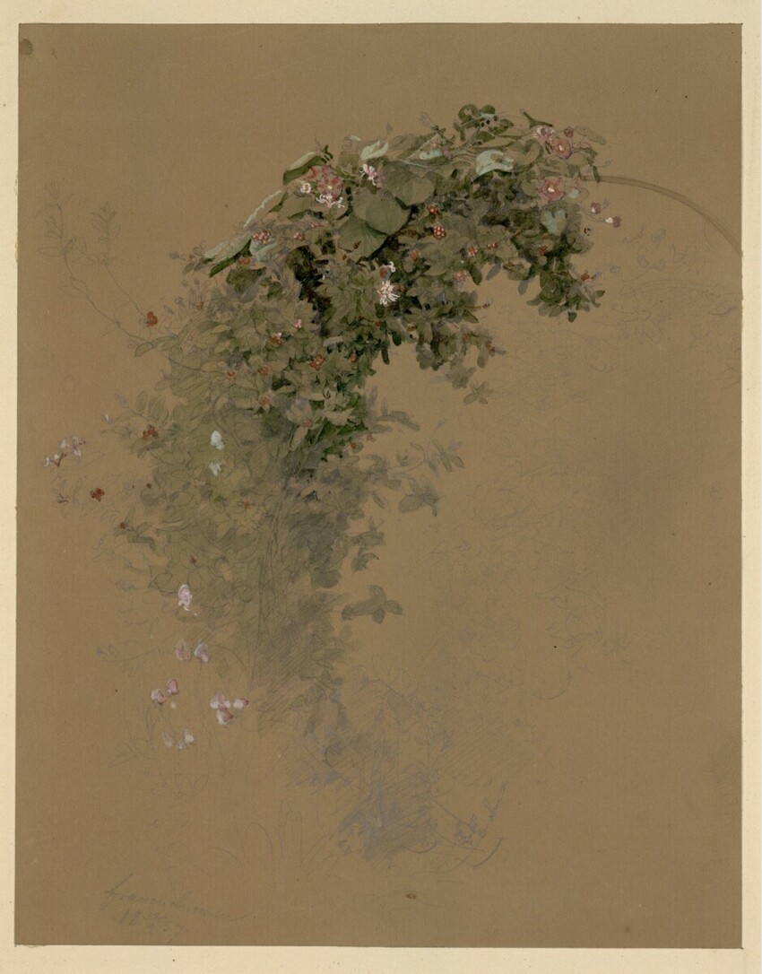 Ferdinand Julius Wilhelm Laufberger (Bohosudov (Mariaschein) 1829 - 1881 Wien) | Pflanzenstudien | Displayed motifs: Tree, Plant, Putto, White dove, Flower, 
