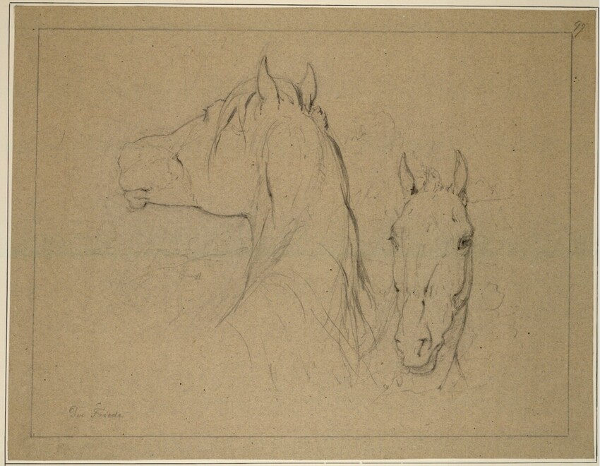 Anton Strassgschwandtner (Wien 1826 - 1881 Wien) | Kopf einer Stute und eines Füllens | Displayed motifs: Animal, Horse, Mule, Lion, 