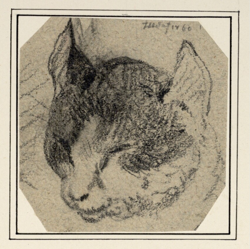 Carl Pischinger (Niederhollabrunn-Streitdorf 1823 - 1886 Liezen) | Katzenkopf von vorne | Displayed motifs: Cat, 