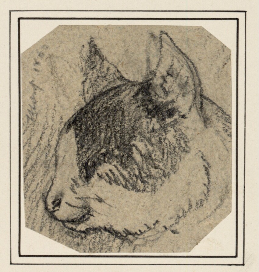 Carl Pischinger (Niederhollabrunn-Streitdorf 1823 - 1886 Liezen) | Katzenkopf von der Seite | Displayed motifs: Cat, Animal, Miter, 