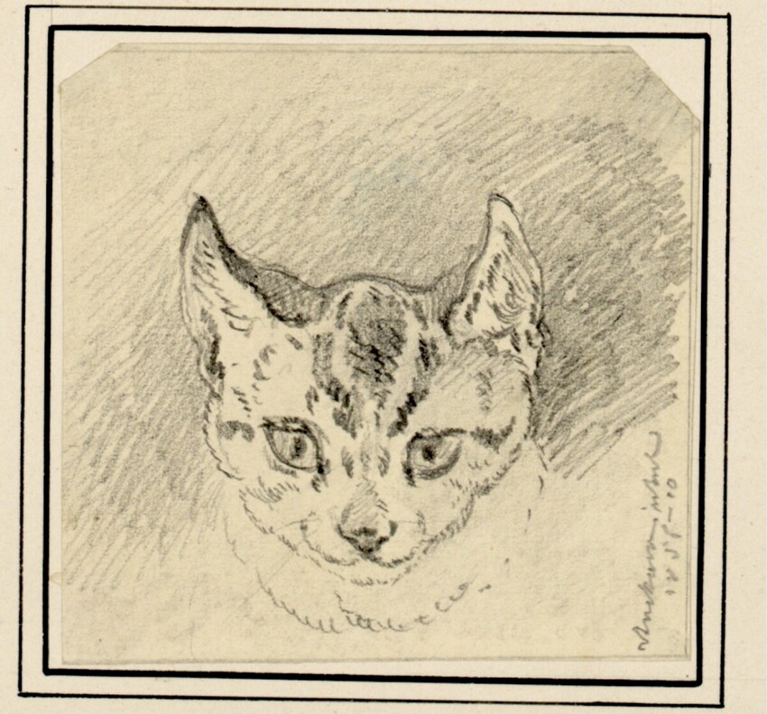 Carl Pischinger (Niederhollabrunn-Streitdorf 1823 - 1886 Liezen) | Katzenkopf von vorne | Displayed motifs: Cat, 