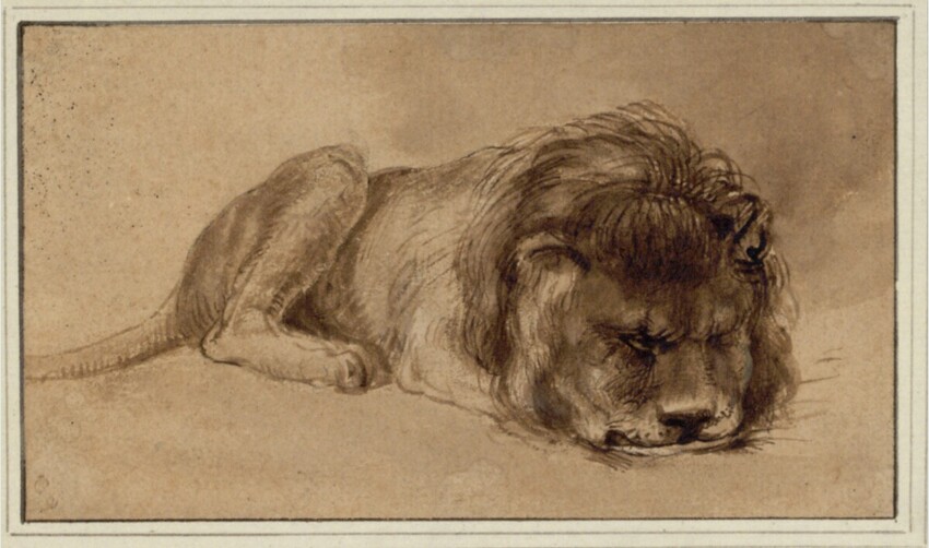 Anonym | Schlafender Löwe, nach rechts, die Pranken unter seiner Mähne verborgen | Displayed motifs: Lion, Animal, White dove, Carnivore, 