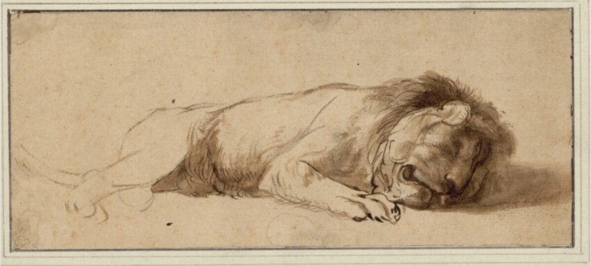 Anonym | Schlafender Löwe, nach rechts, auf die Seite gerollt | Displayed motifs: Lion, Animal, Carnivore, 